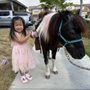 Photo of Picture Perfect Ponys