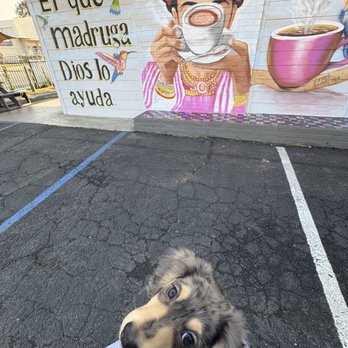 Buenos Dias Cafe - Outside parking lot - Cafes Near Me - Riverside, California