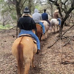 A morning trail ride.