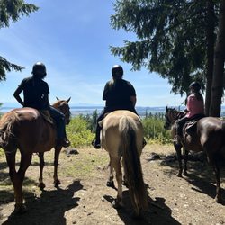 Lang's Horse & Pony Farm