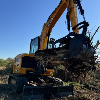 Skid Pro Services - Tree stump removal - Excavation Services Near Me - Robstown, Texas Skid Pro Services - Tree stump removal - Excavation Services Near Me - Robstown, Texas