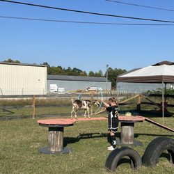 Ice Cream at the Toano Flower Field - On the weekends they sometimes have a free small petting zoo! Check out their Facebook page