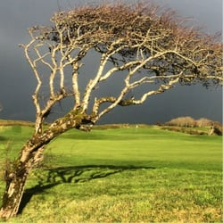Galway Bay Golf & Country Club