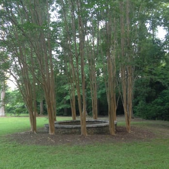 Salmon Park - Parks Near Me - Auburn, Alabama