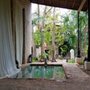 Photo of Coqui Coqui