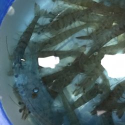 Bait & Tackle Of Apollo Beach