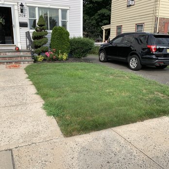 TruGreen Lawn Care - Crabgrass taken over my yard. - Lawn Services Near Me - Wayne, New Jersey TruGreen Lawn Care - Crabgrass taken over my yard. - Lawn Services Near Me - Wayne, New Jersey