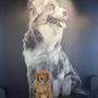Photo of The Nations Animal Hospital