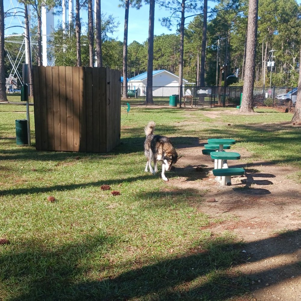 K9 Korner - Thought it was an outhouse? And then those step up things and a poop bag dispenser with the trash can - Dog Parks Near Me - Semmes, Alabama