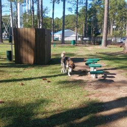 K9 Korner - Thought it was an outhouse? And then those step up things and a poop bag dispenser with the trash can