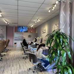 TLC Nail Spa - Everyone needs some TLC!