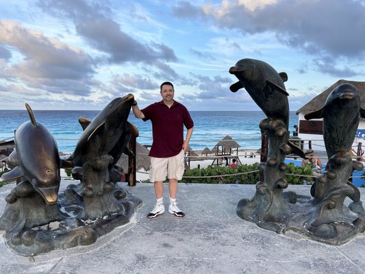 Dolphins Beach by null