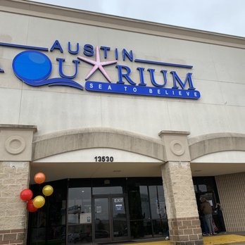 Austin Aquarium - Aquariums Near Me - Austin, Texas Austin Aquarium - Aquariums Near Me - Austin, Texas