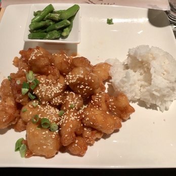 Nine Dragons Restaurant - Honey Chicken with White Rice - Chinese Near Me - Lake Buena Vista, Florida Nine Dragons Restaurant - Honey Chicken with White Rice - Chinese Near Me - Lake Buena Vista, Florida