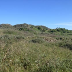 Dünenwanderweg