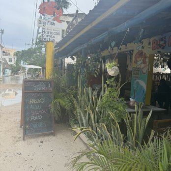 Big Fish - Front of the building. - Mexican Near Me - Holbox, ROO Big Fish - Front of the building. - Mexican Near Me - Holbox, ROO