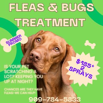 Gopher Squad - *Price will increase if you are outside our service areas and/or the treatment area exceeds 10,000 SF. - Pest Control Near Me Gopher Squad - *Price will increase if you are outside our service areas and/or the treatment area exceeds 10,000 SF. - Pest Control Near Me