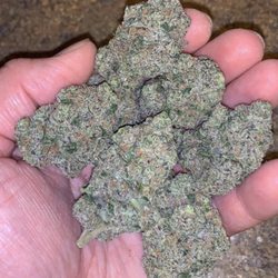 Canna Nation - Quality to expect