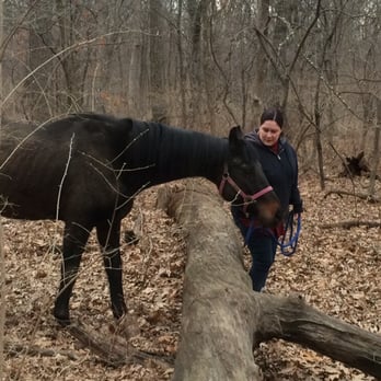 Memory Lane Stables - Horseback Riding Near Me - Willow Springs, Illinois