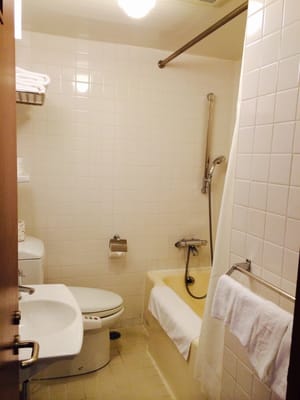 Nikko Kanaya Hotel by null