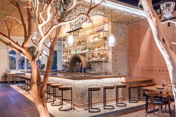 Meso Modern Mediterranean by null
