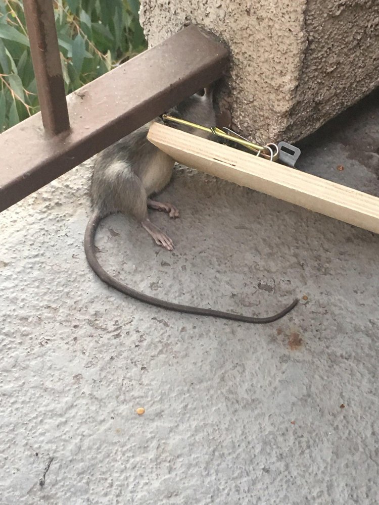 GARDENDALE PARK 8350 Gardendale St, Paramount, CA Yelp