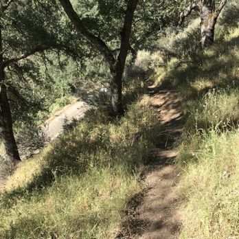 Sunol Regional Wilderness Area - Not really maintained trails. Watch out for spiky weeds! - Parks Near Me - Sunol, California Sunol Regional Wilderness Area - Not really maintained trails. Watch out for spiky weeds! - Parks Near Me - Sunol, California