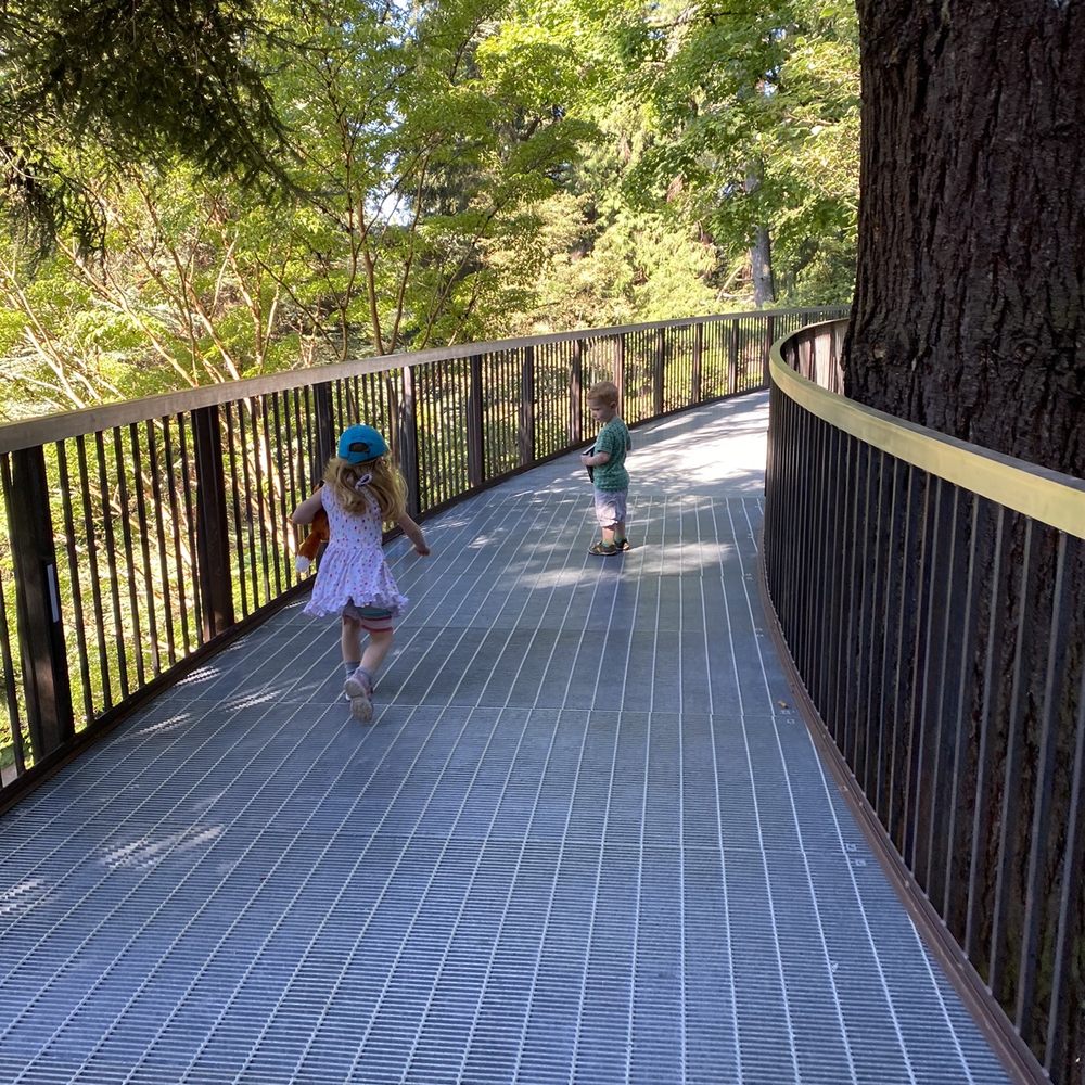 Leach Botanical Garden - Tree walk - Botanical Gardens Near Me - Portland, Oregon