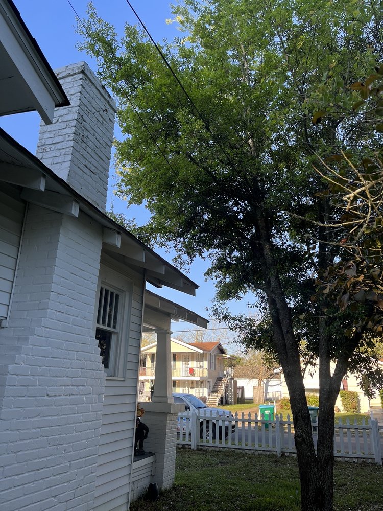 Professional Tree Service - tree service in Gulfport, MS