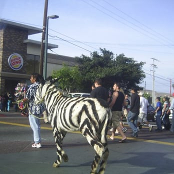 Burro Cebra - Sacando a pasear al león... not! - Local Flavor Near Me - Tijuana, BCN