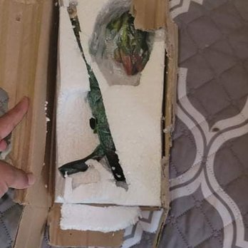 Swim Suits For All - What I got as the Audrey II Replica in PIECES!! - Swimwear Near Me - Piscataway, New Jersey Swim Suits For All - What I got as the Audrey II Replica in PIECES!! - Swimwear Near Me - Piscataway, New Jersey