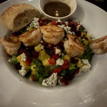 Martini - Delicious Shrimp Salad. - Italian Near Me - North Myrtle Beach, South Carolina