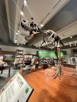 Carnegie Museum of Natural History by null