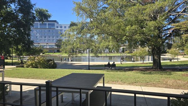 Pane E Vino Pizzeria by null