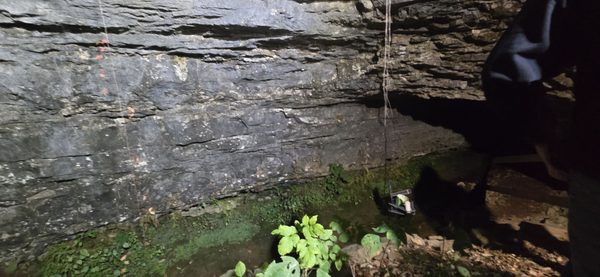 Bell Witch Cave by null