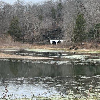 Dunbar Cave State Park - The pond - Parks Near Me - Clarksville, Tennessee