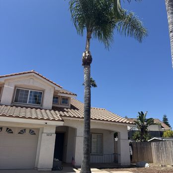 Select Tree Service - Tree Services Near Me Select Tree Service - Tree Services Near Me