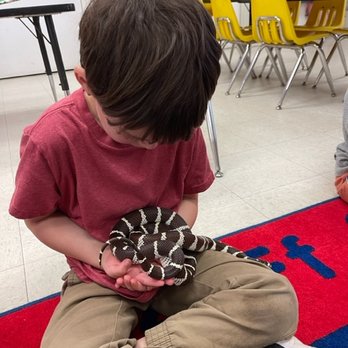 Playschool - from the reptile petting zoo visit. triple ewwww - HE LOVED ALL OF IT!! - Preschools Near Me - Atherton, California Playschool - from the reptile petting zoo visit. triple ewwww - HE LOVED ALL OF IT!! - Preschools Near Me - Atherton, California