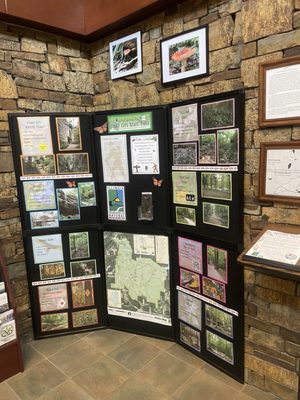 Giant City State Park by null