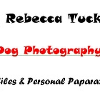 2 Dog Photography - Pet Photography Near Me - Phoenix, Arizona 2 Dog Photography - Pet Photography Near Me - Phoenix, Arizona