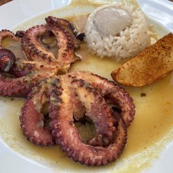 La Palapa - Octopus