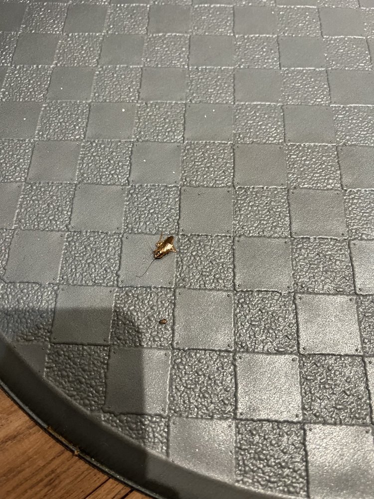 GREYS HARBOR AT LAKE NORMAN Updated August 2024 59 Photos & 14