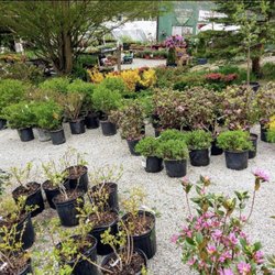 Shields Herb and Flower Farm