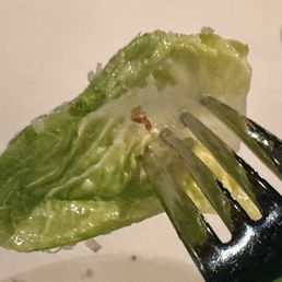 Caesar Salad Caesar Salad