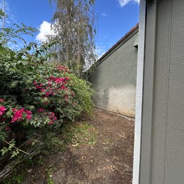 SHED REMOVED