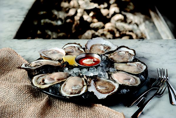 Acme Oyster House by null