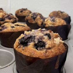 Wolf And Mermaid Enchanted Roasters - Fresh muffins