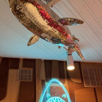 Pink Shark - Music Venues Near Me - San Antonio, Texas
