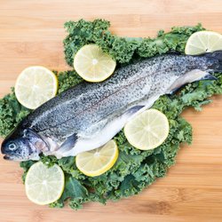Philly Lobster Gourmet Foods - Rainbow Trout