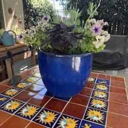 The Greenery Nursery - Pot of flowers